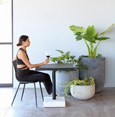 Beneficios de plantas al interior