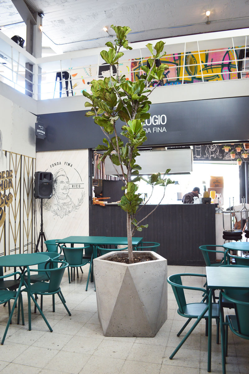 Copia-de-Copia-de-Copia-de-DSC_0074