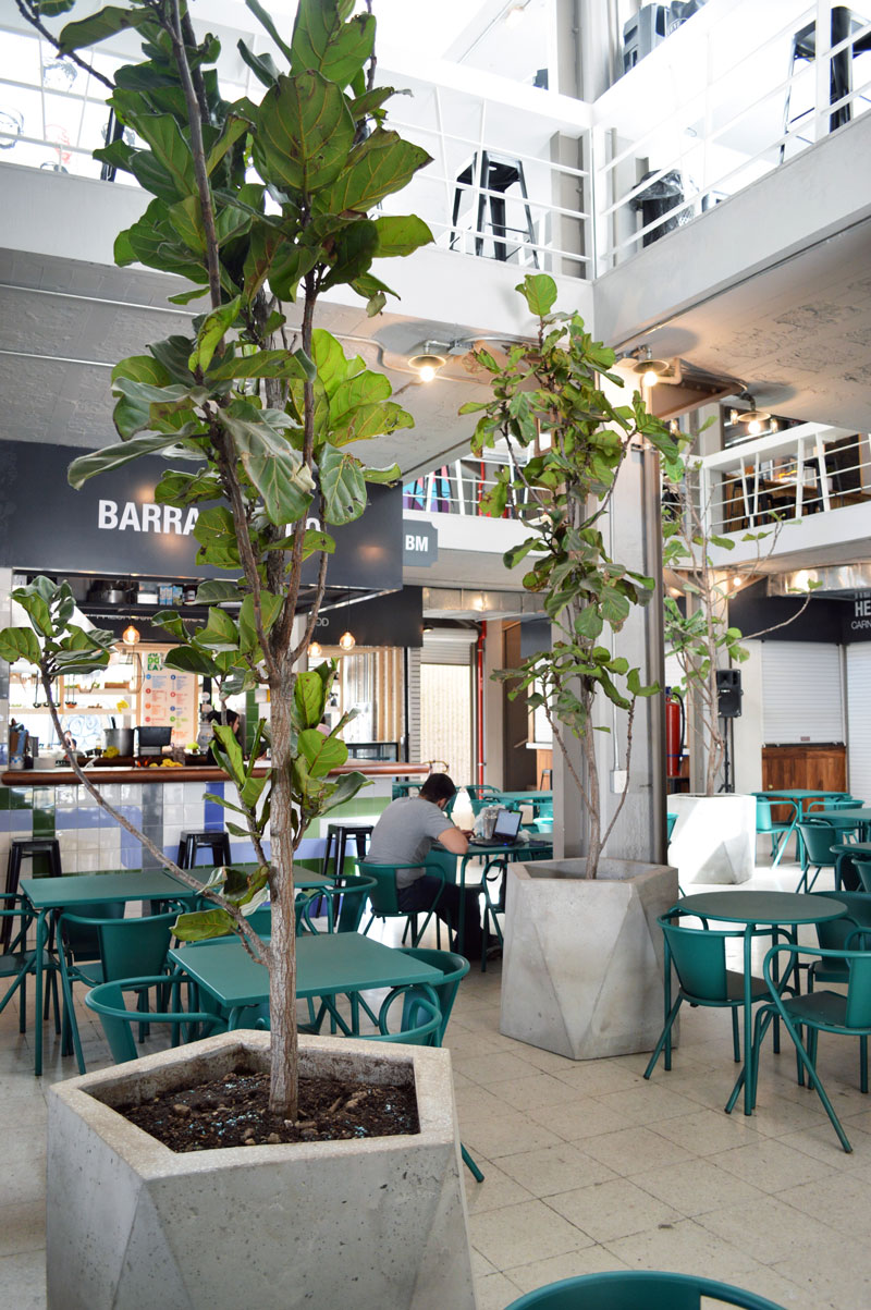 Copia-de-Copia-de-Copia-de-DSC_0075