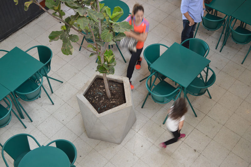 Copia-de-Copia-de-Copia-de-DSC_0081