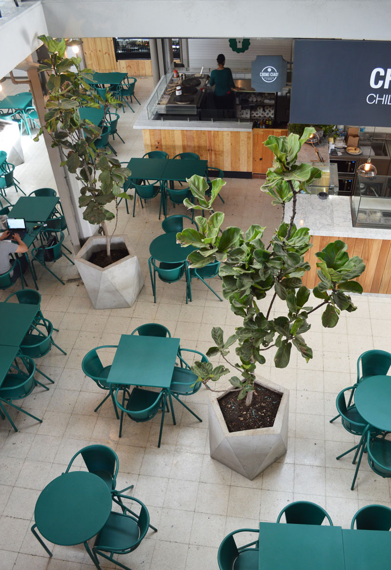 Copia-de-Copia-de-Copia-de-DSC_0092