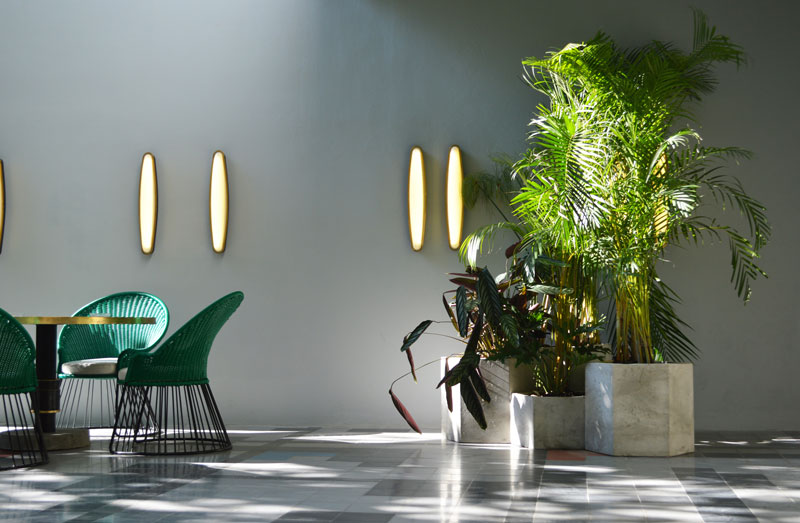 Copia-de-Copia-de-DSC_0800