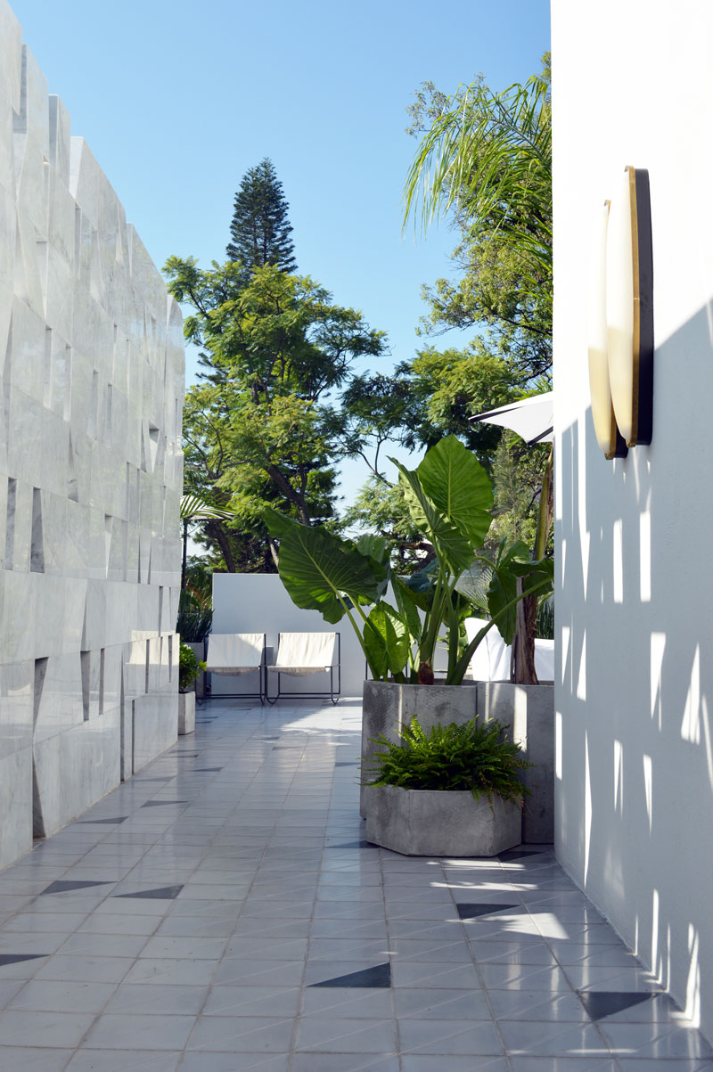 Copia-de-Copia-de-DSC_0868